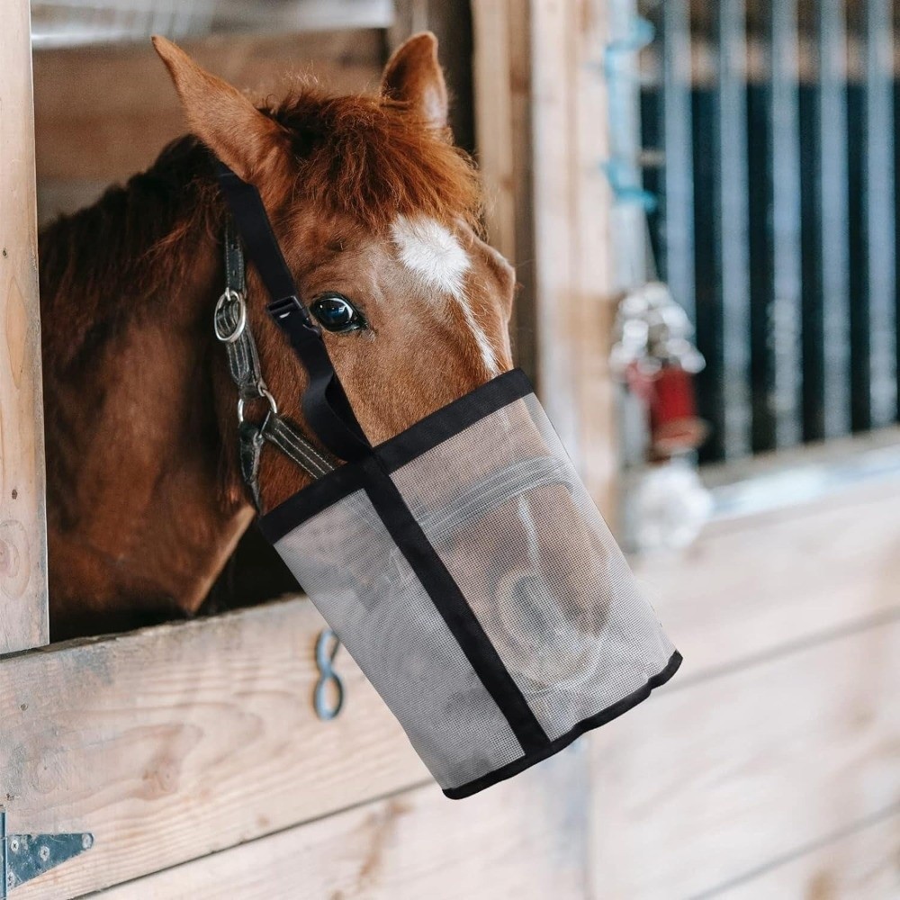 حقيبة تغذية الخيول متعددة الأل - مراجعة Mesh Feeder Bag وسعره