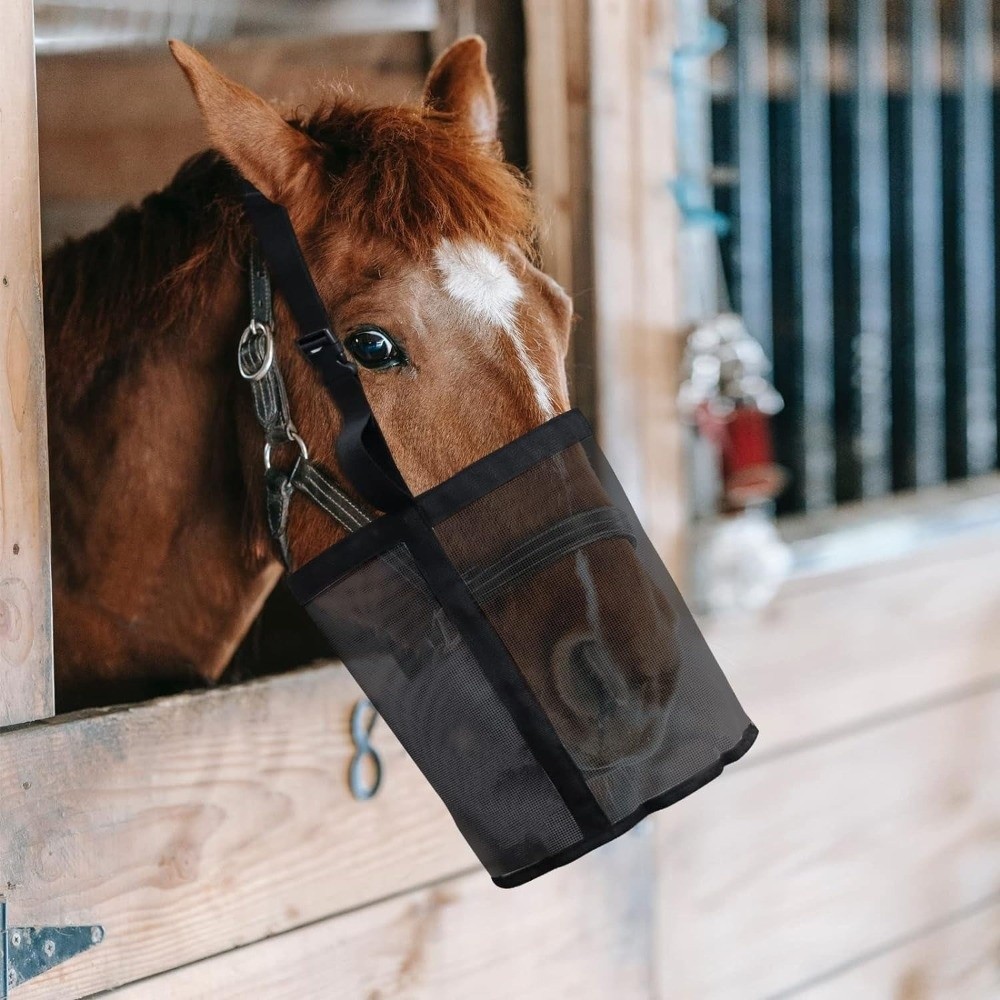 حقيبة تغذية الخيول متعددة الأل - مراجعة Mesh Feeder Bag وسعره