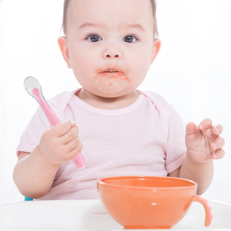 ملاعق سيليكون للأطفال خالية من - مراجعة Baby Food Guide وسعره